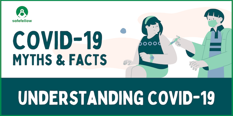 Understanding Covid-19: Myths and Facts - Safefellow.com