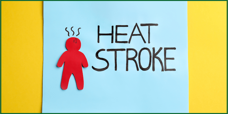 Heat-Related Illnesses and Safety Measures